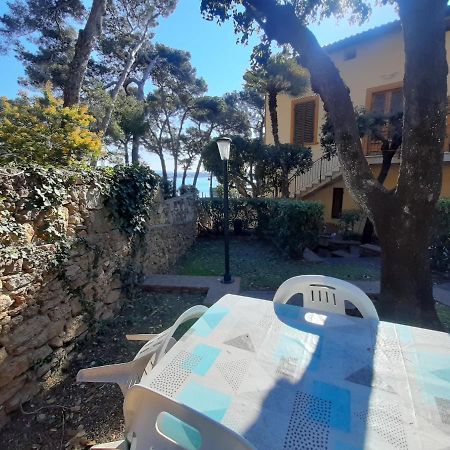 Villa Violetta Castiglioncello Zewnętrze zdjęcie