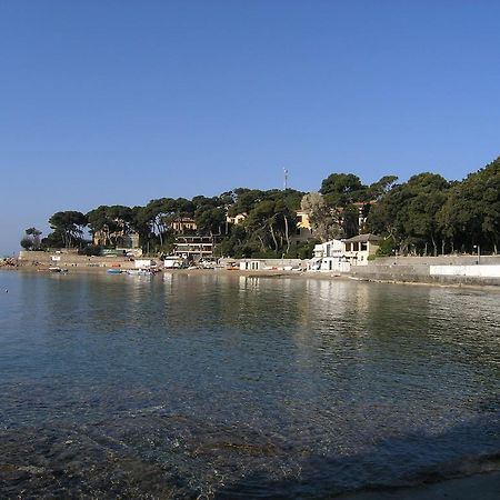 Villa Violetta Castiglioncello Zewnętrze zdjęcie