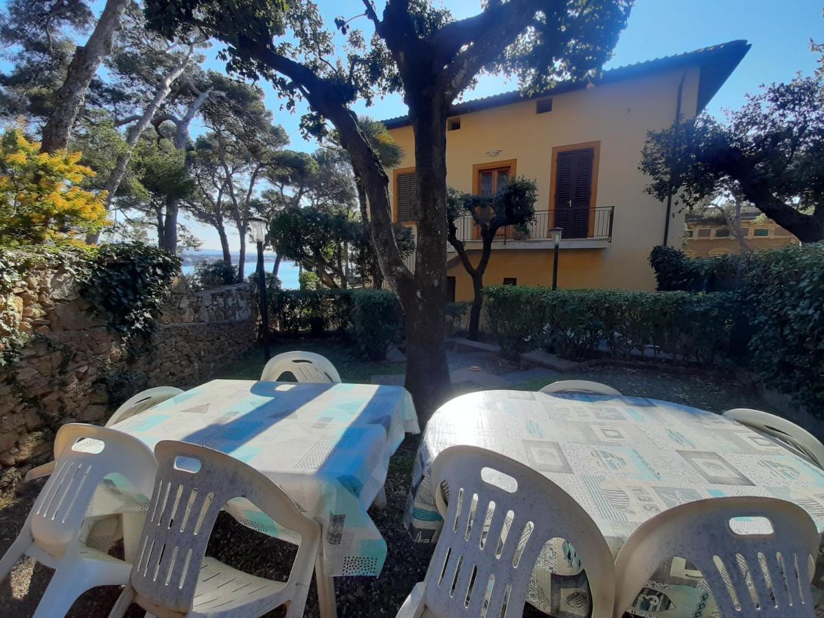 Villa Violetta Castiglioncello Zewnętrze zdjęcie
