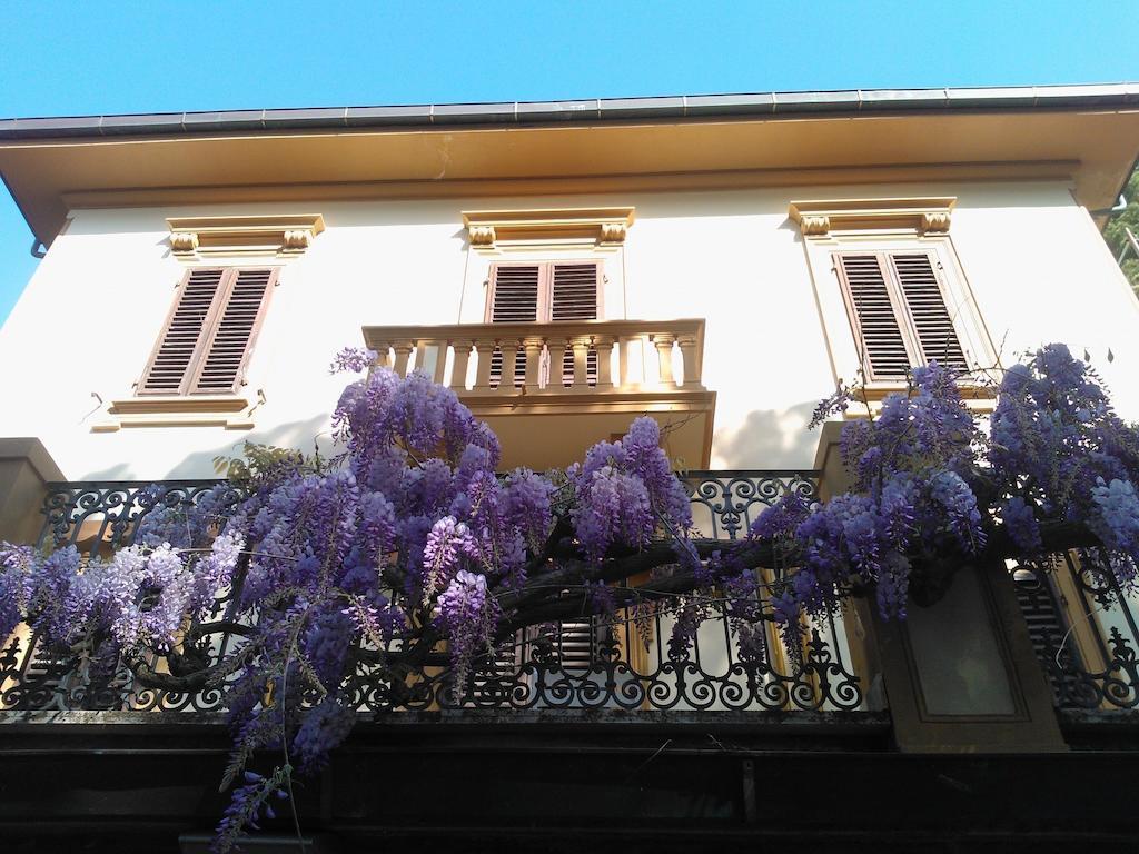 Villa Violetta Castiglioncello Zewnętrze zdjęcie